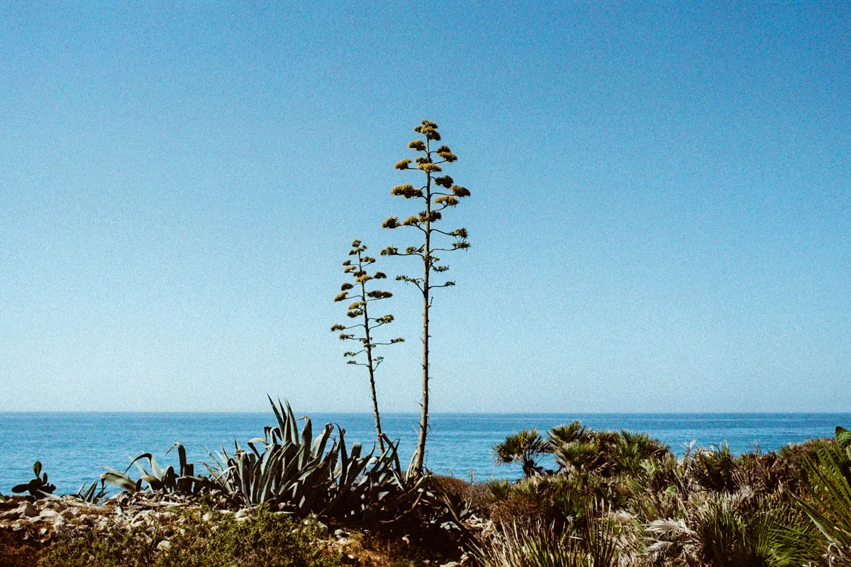 Yanis Deplazes - Experimental - 16