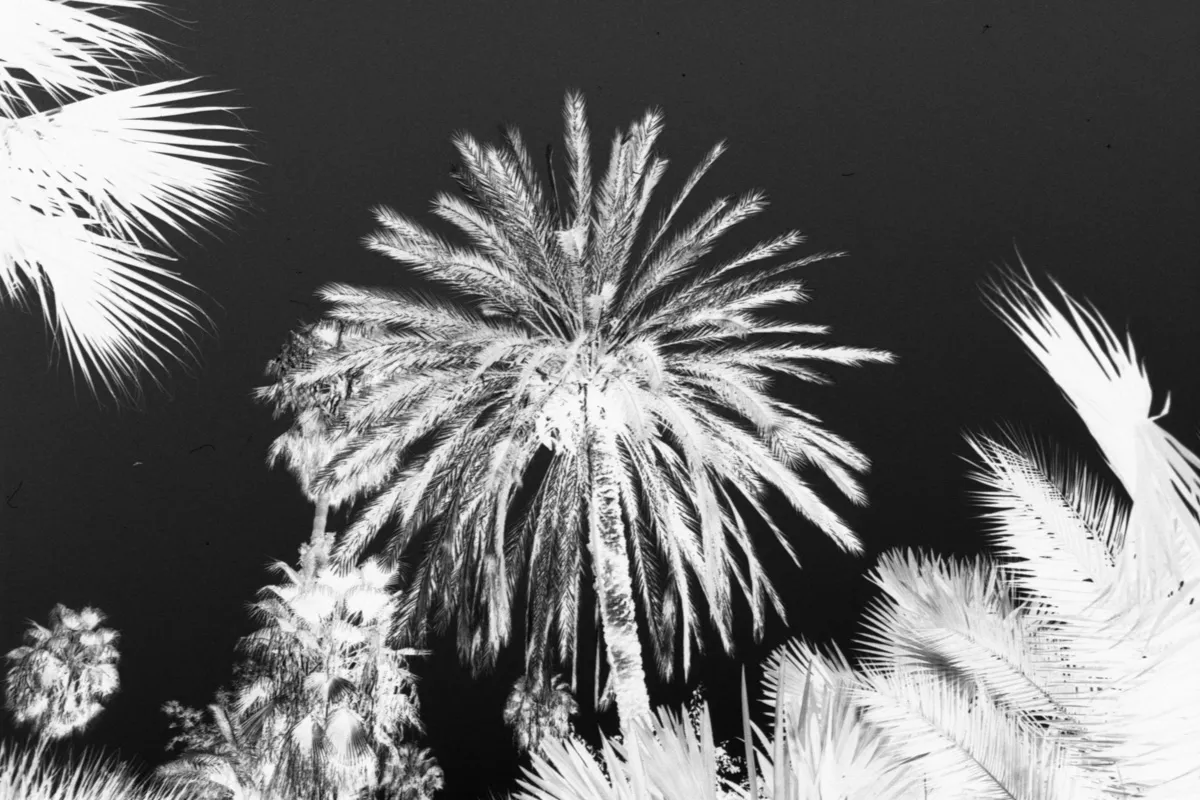 Yanis Deplazes -  Experimental - 3